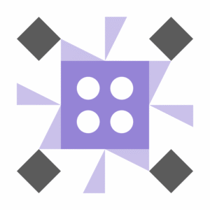 Synergistic Wool Bag